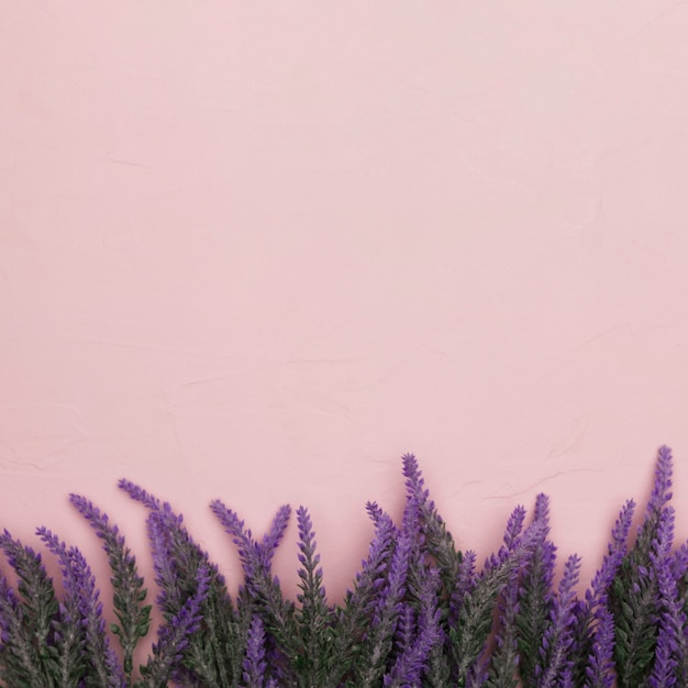 Vista dall'alto di fiori per la festa della mamma con spazio di copia