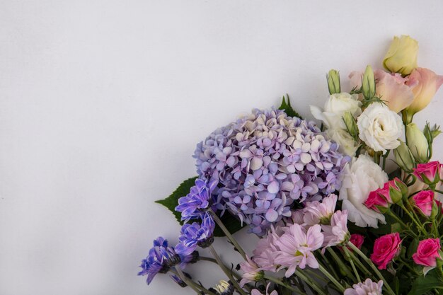 Vista dall'alto di fiori su sfondo bianco con copia spazio