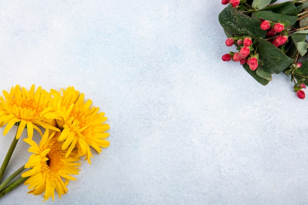 Vista dall'alto di fiori sui lati e bianco con copia spazio