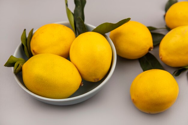 Vista dall'alto di limoni di agrumi gialli su una ciotola su un muro bianco