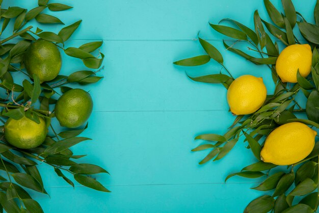 Vista dall'alto di limoni freschi gialli e verdi con foglie su blu con spazio di copia