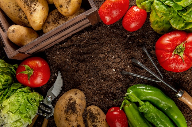 Vista dall'alto di pomodori con patate e verdure