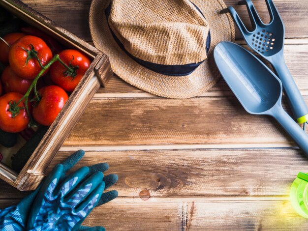 Vista dall&#39;alto di pomodori in cassa di legno con cappello e attrezzature da giardinaggio