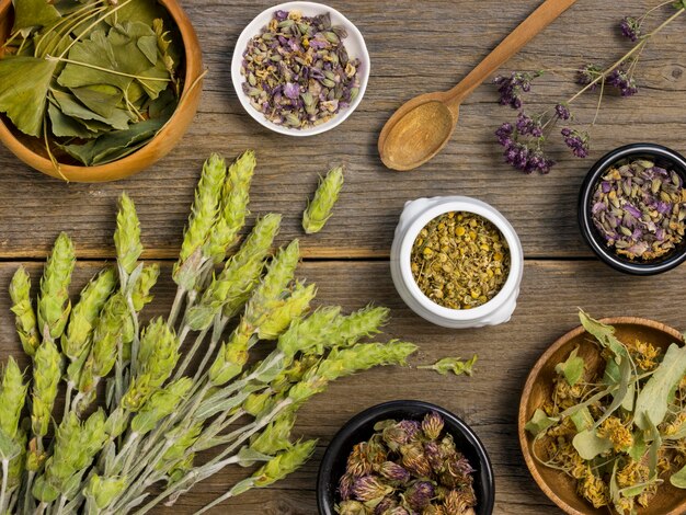 Vista dall'alto di spezie ed erbe medicinali naturali