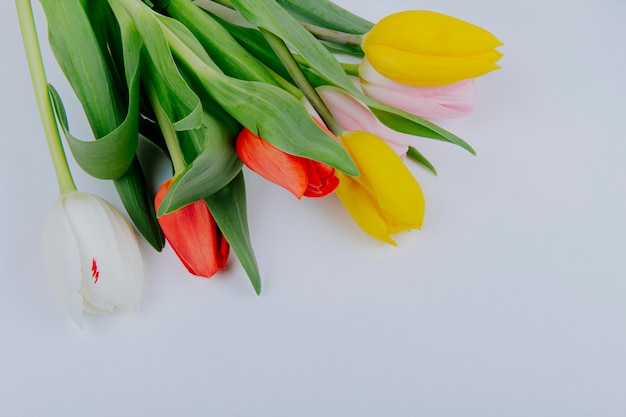 Vista dall'alto di un mazzo di fiori colorati tulipano isolato su sfondo bianco con spazio di copia