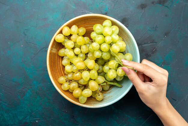 vista dall'alto di uva verde fresca mellow all'interno della piastra su frutta fresca scura, vino