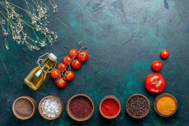 Vista dall'alto diversi condimenti con pomodori e olio su sfondo verde scuro piccante ingrediente caldo pasto cibo