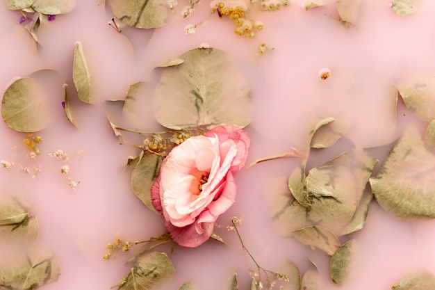 Vista dall'alto fiore rosa e foglie pallide in acqua di colore rosa