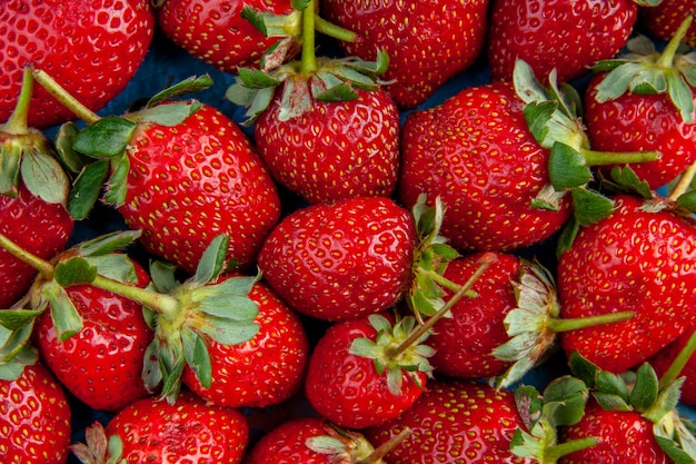 Vista dall'alto fragole rosse su sfondo blu