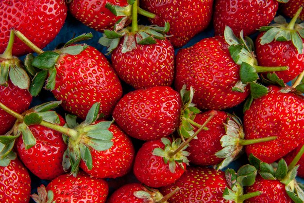 Vista dall'alto fragole rosse su sfondo blu