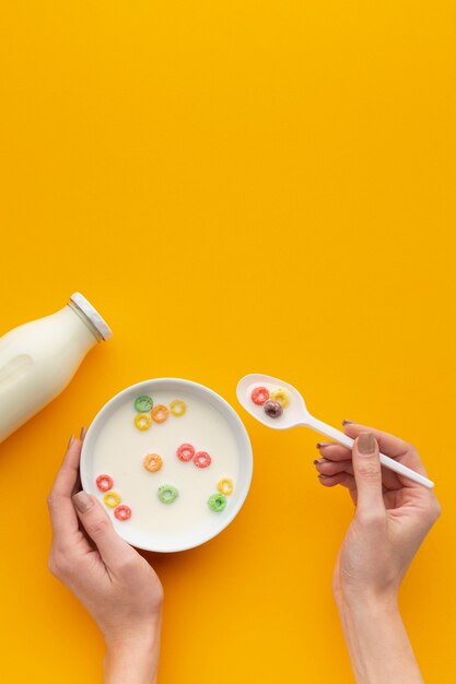 Vista dall'alto gustosa ciotola di cereali con latte