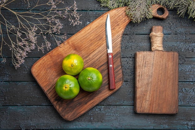 Vista dall'alto lime a bordo lime sul tagliere sul tavolo accanto ai rami dell'albero coltello e tavola da cucina