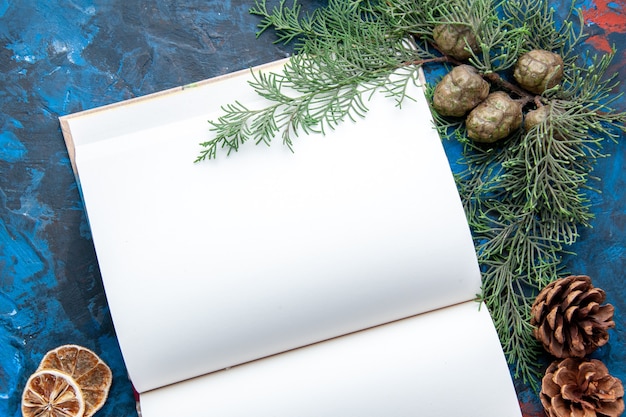 Vista dall'alto notebook aperto rami di abete coni albero di natale giocattoli su superficie blu