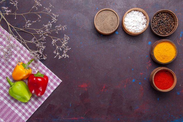 Vista dall'alto peperoni colorati quelli freschi con condimenti sul cibo caldo piccante di peperone vegetale superficie grigia