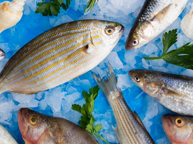 Vista dall'alto pesce fresco su cubetti di ghiaccio con erbe