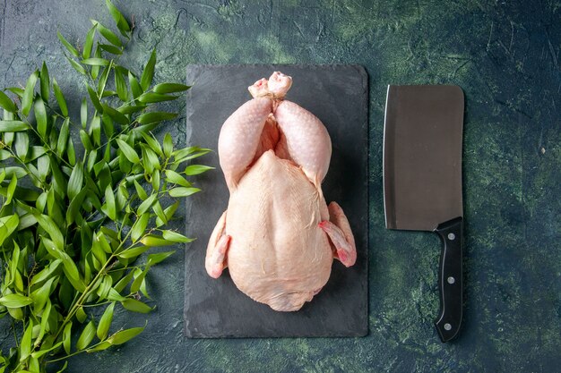 Vista dall'alto pollo crudo fresco con coltello su sfondo blu scuro pasto carne animale foto a colori cucina cibo pollo