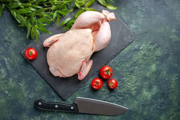 Vista dall'alto pollo crudo fresco con pomodori rossi su uno sfondo scuro pasto foto animale colore alimentare pollo carne da cucina