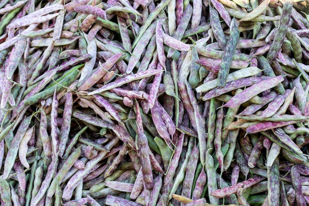 vista dall'alto superficie di fagioli superficie vegetale