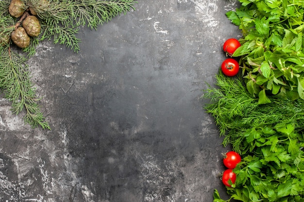 Vista dall'alto verdi e pomodori su sfondo scuro copia spazio