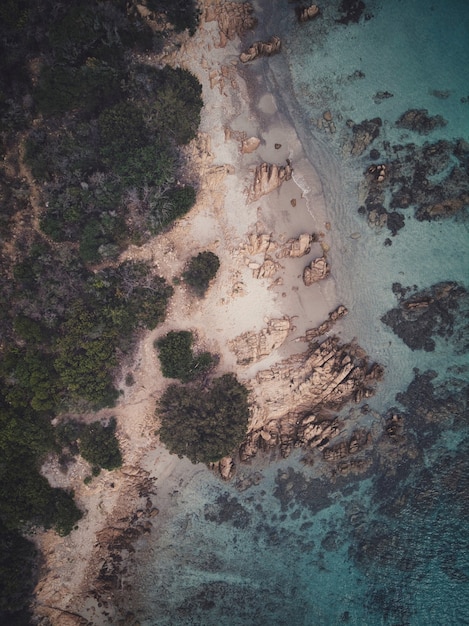 Vista dall'alto verticale di una spiaggia rocciosa con alberi