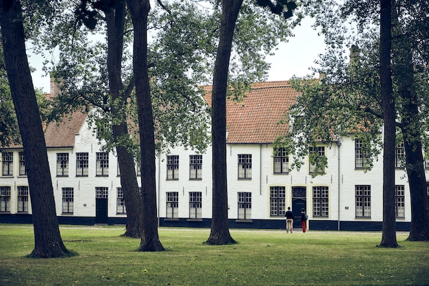 Vista degli alberi nel giardino del beghinaggio principesco Ten Wijngaarde