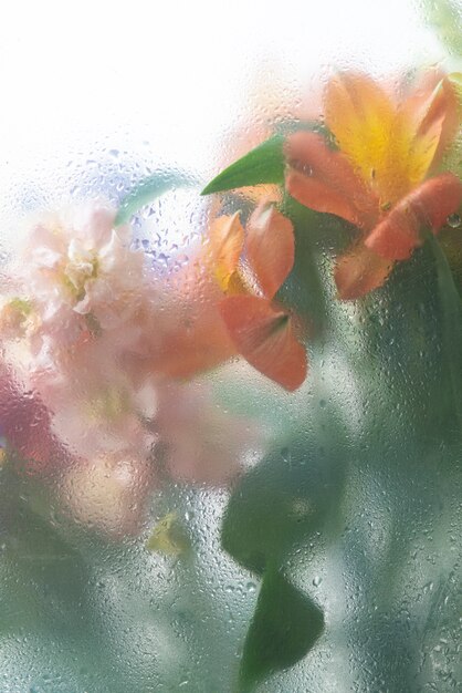 Vista dei fiori attraverso il vetro condensato con gocce d'acqua