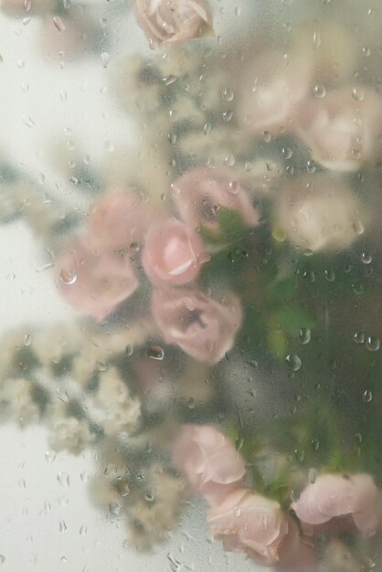 Vista dei fiori di rosa dietro il vetro condensato