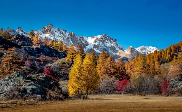 Vista del paesaggio delle montagne coperte di neve e alberi autunnali