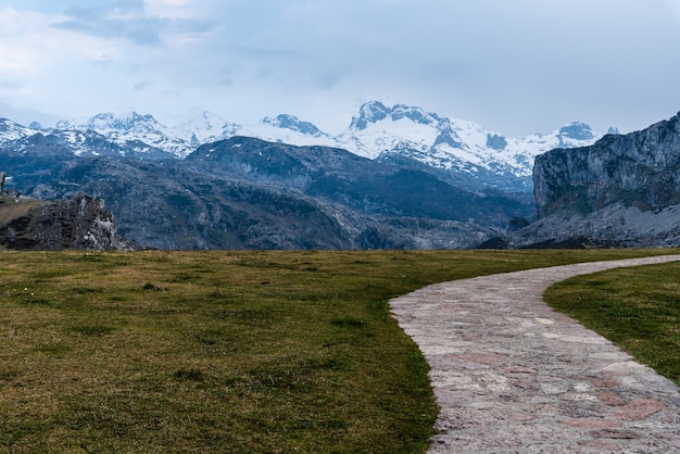 Vista del paesaggio delle montagne rocciose coperte di neve con erba e una strada in primo piano