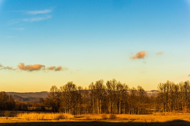 Vista del paesaggio di campi dorati con alberi spogli e montagne in autunno