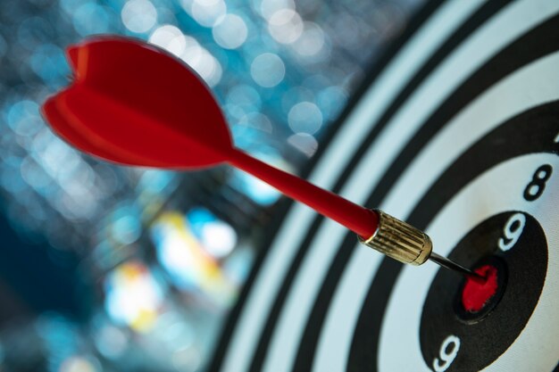 Vista del tirassegno con i punti della freccia del bullseye