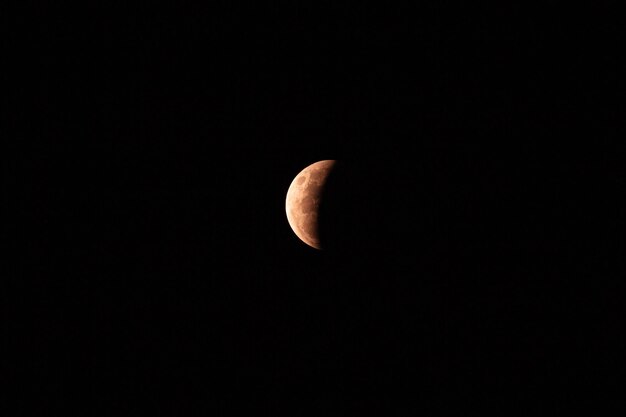 Vista dell'eclissi lunare parziale nel cielo scuro