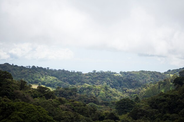 Vista della foresta pluviale tropicale in Costa Rica