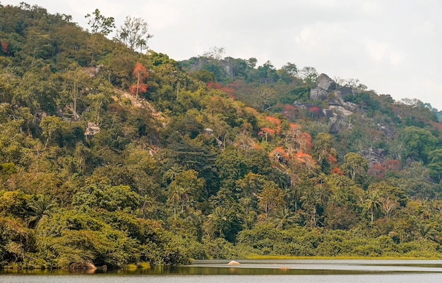 Vista della natura africana con vegetazione e montagne