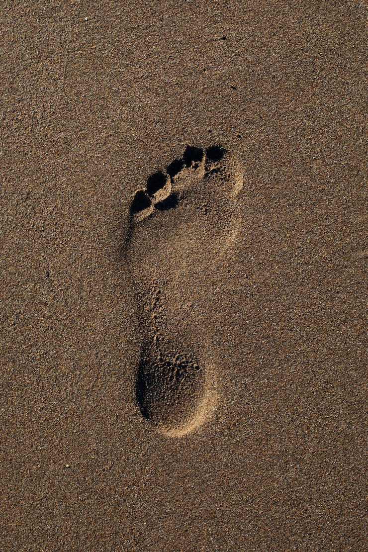 Foto gratuito vista della sabbia della spiaggia in estate con l'impronta