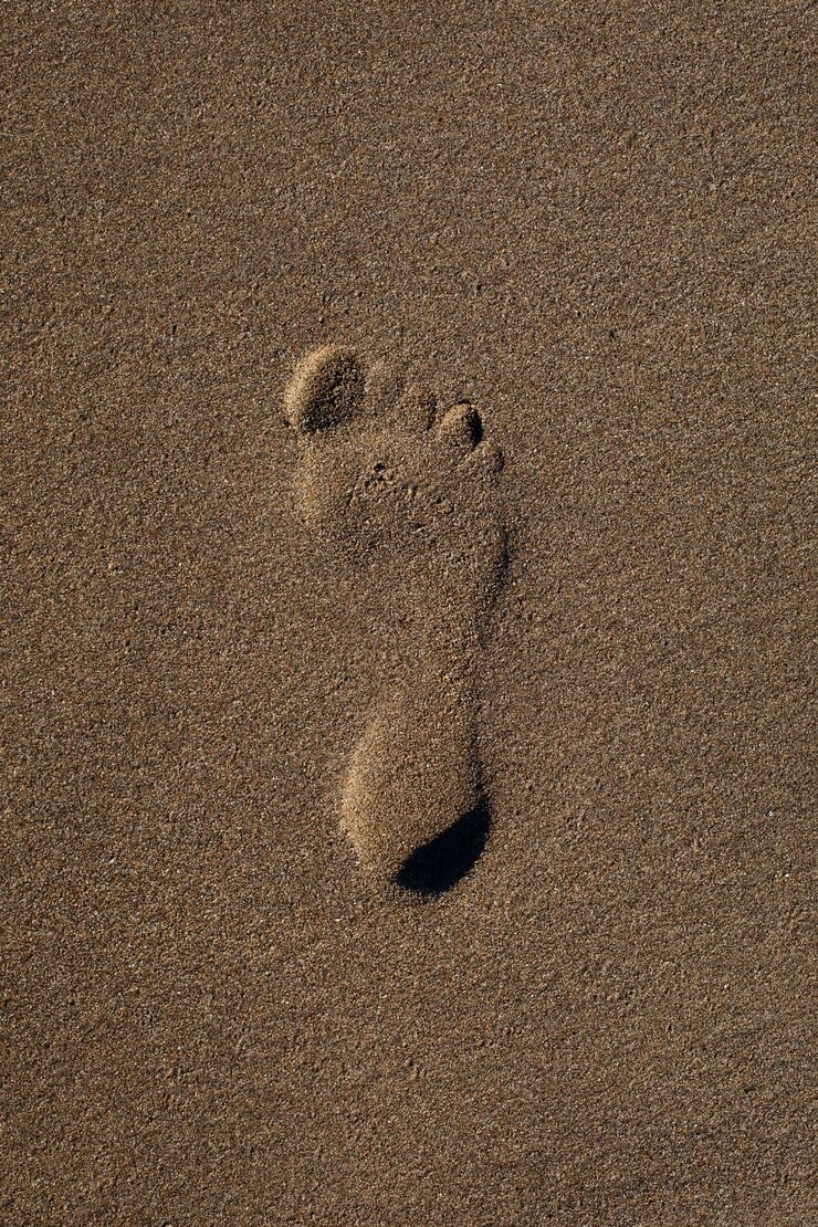 Foto gratuito vista della sabbia della spiaggia in estate con l'impronta