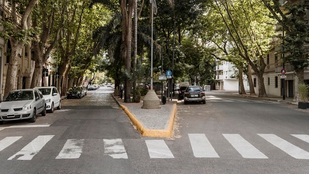 Vista della strada cittadina con auto e strisce pedonali