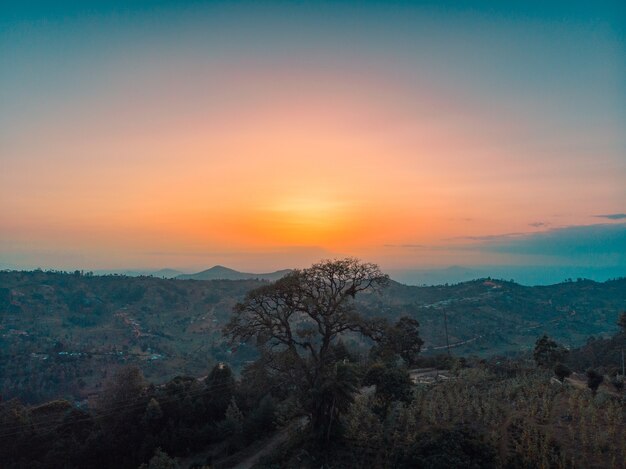 Vista delle colline coperte di alberi con il tramonto