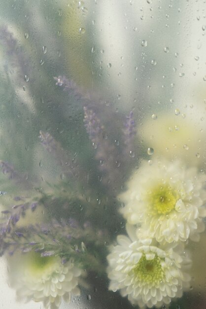 Vista di fiori dietro vetro trasparente con gocce d'acqua