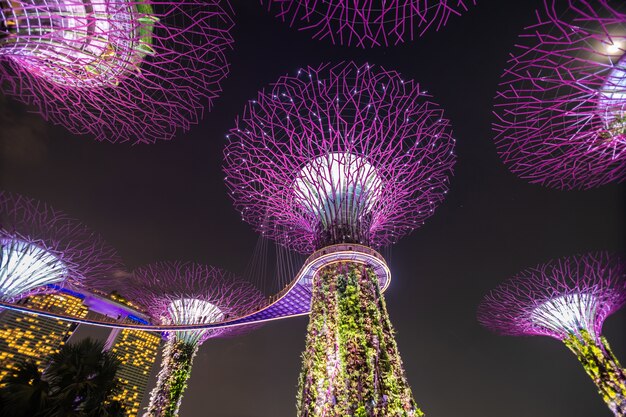 Vista di notte del boschetto di Supertree ai giardini dalla baia a Singapore. Si estende su 101 ettari di terreno bonificato nel centro di Singapore, adiacente al Marina Reservoir