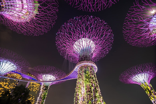 Vista di notte del boschetto di Supertree ai giardini dalla baia a Singapore. Si estende su 101 ettari di terreno bonificato nel centro di Singapore, adiacente al Marina Reservoir