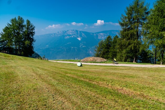 Vista di un campo erboso con alberi e montagne in una giornata di sole