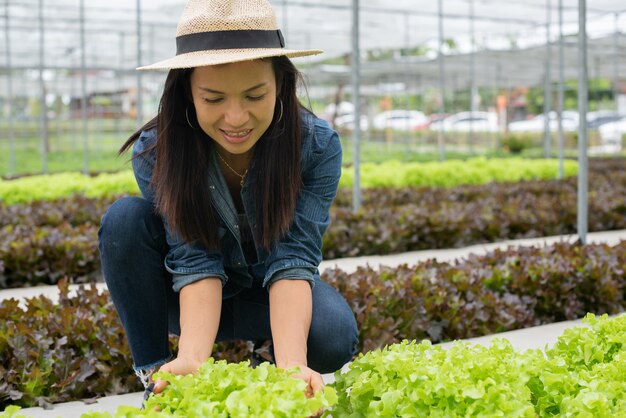 vista di una giovane donna attraente raccolta di verdure