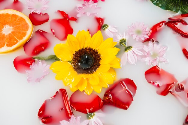 Vista elevata del fiore giallo con petali e pompelmo nel bagno termale con latte