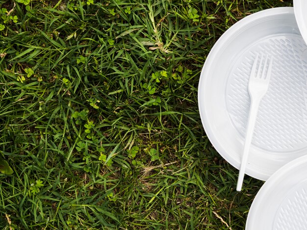 Vista elevata del piatto e della forcella di plastica su erba al parco