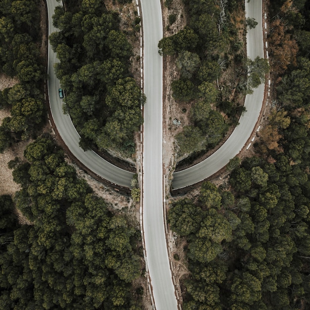 Vista elevata della strada diritta e curva nella foresta