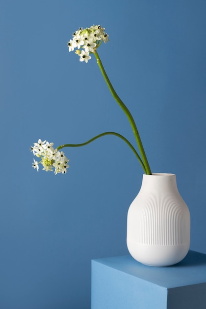 Vista frontale dei fiori in un vaso