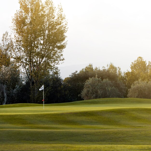 Vista frontale del campo da golf con erba e bandiera