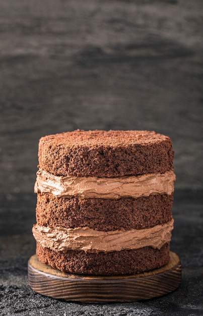 Vista frontale del delizioso concetto di torta al cioccolato