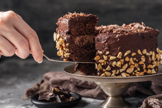 Vista frontale del delizioso concetto di torta al cioccolato